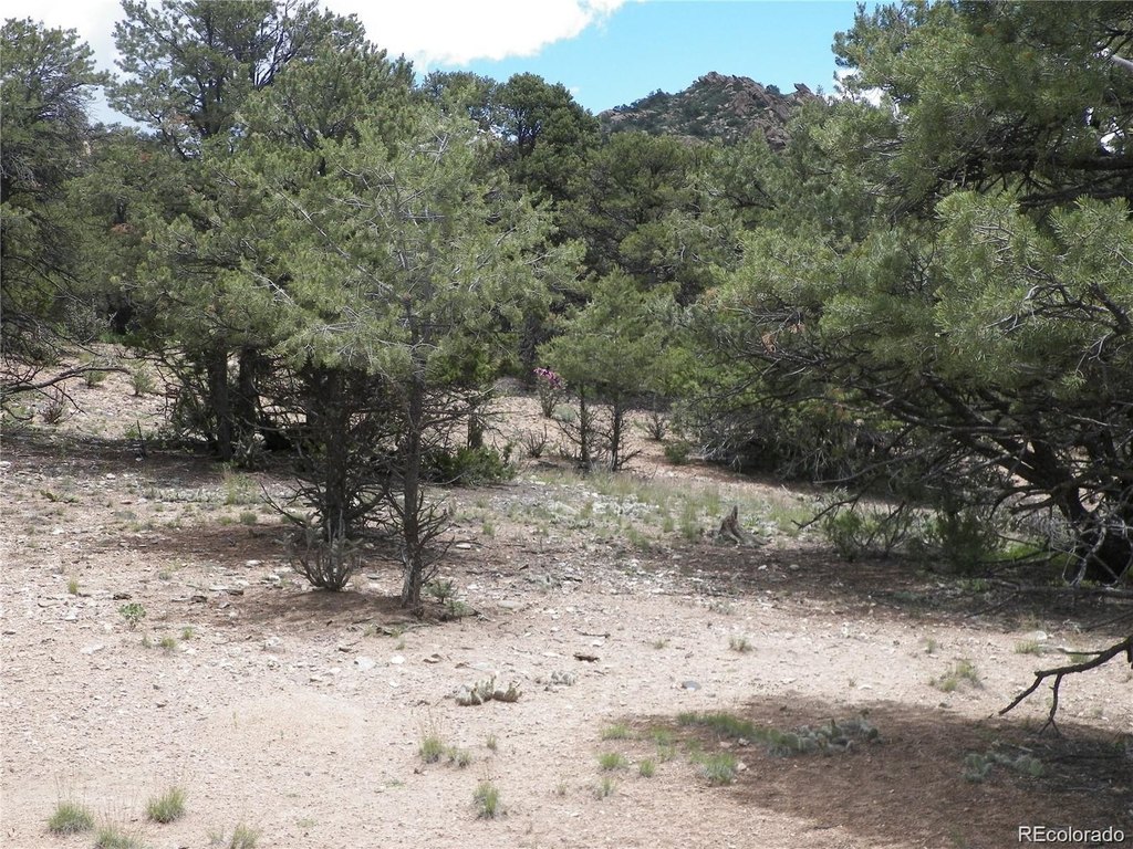 Picture 22