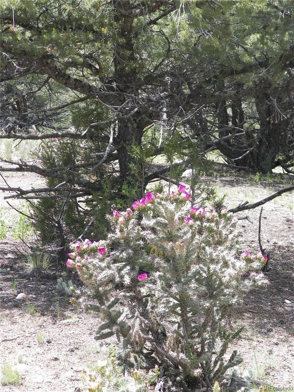 Picture 17