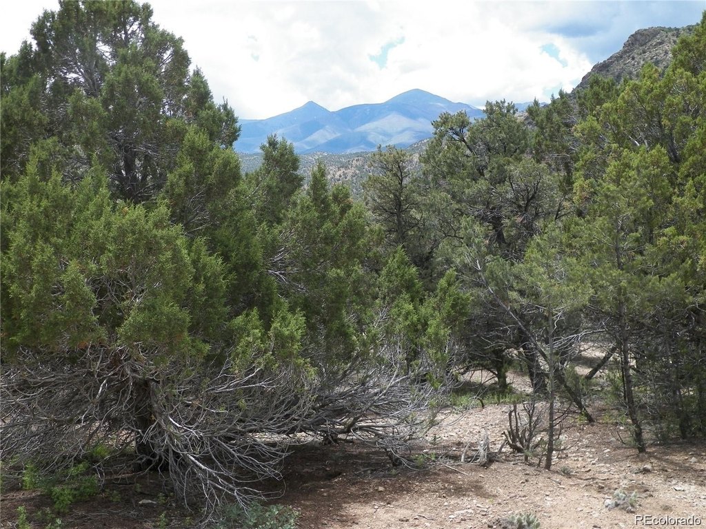 Picture 25