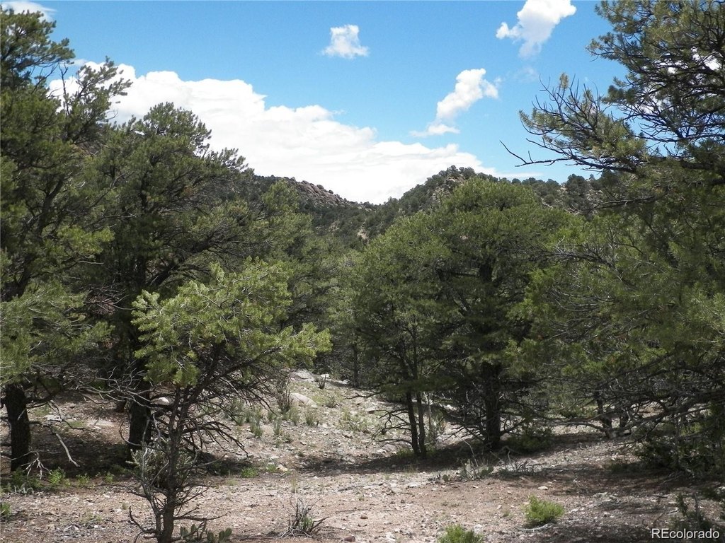 Picture 29