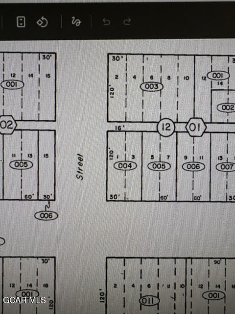 Picture 8