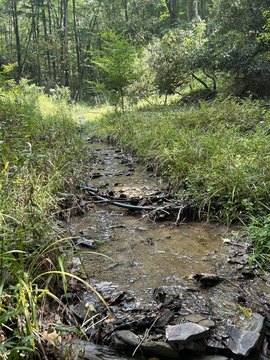 Land, Bartow, WV