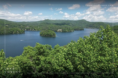 Land with Mountain and Lake Views