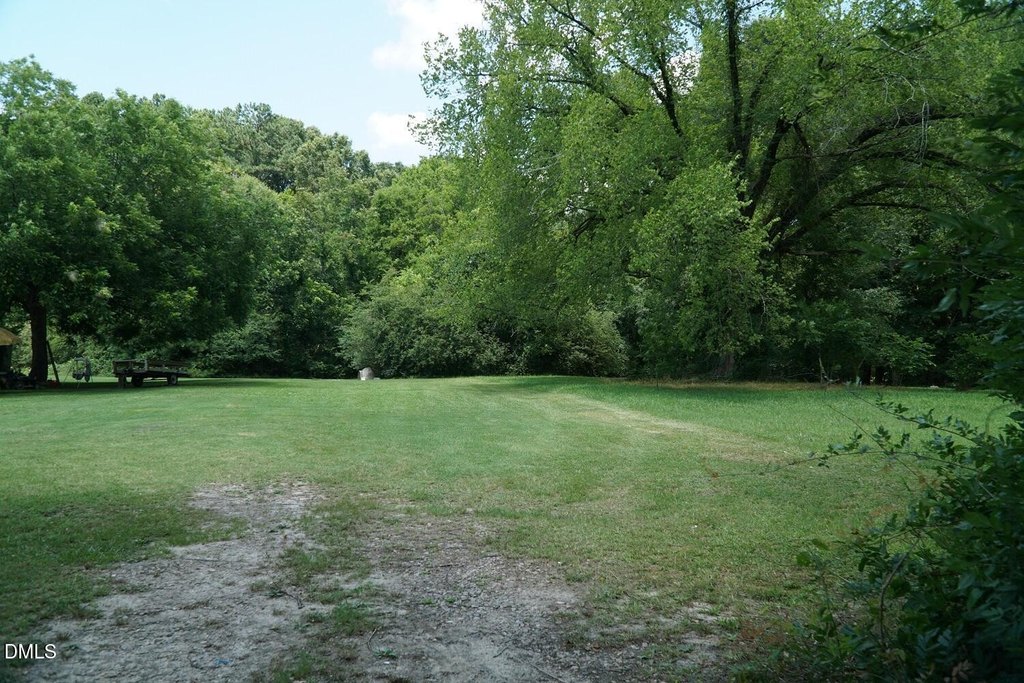 Picture 3