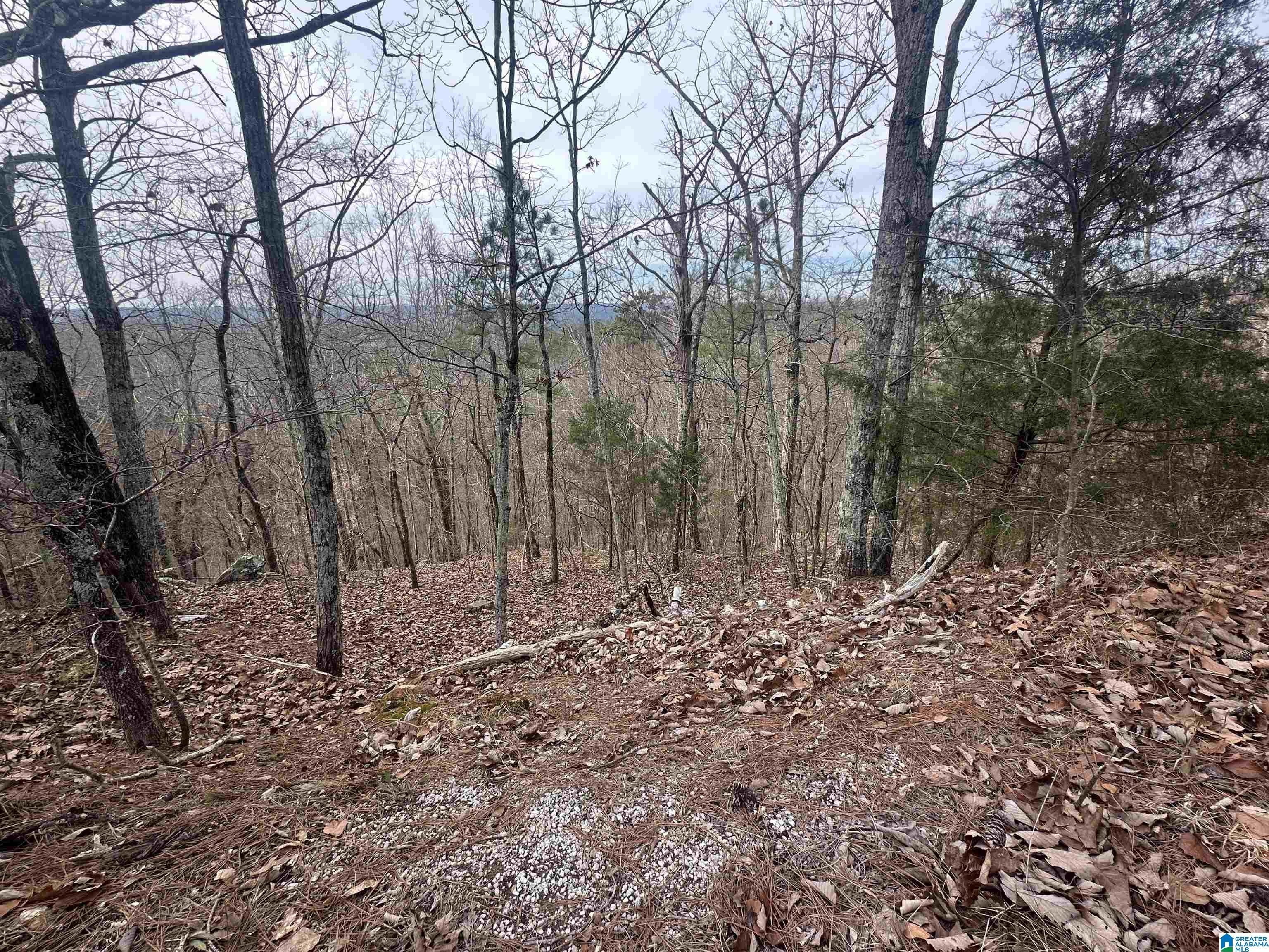 4.2 Acres Usable Land