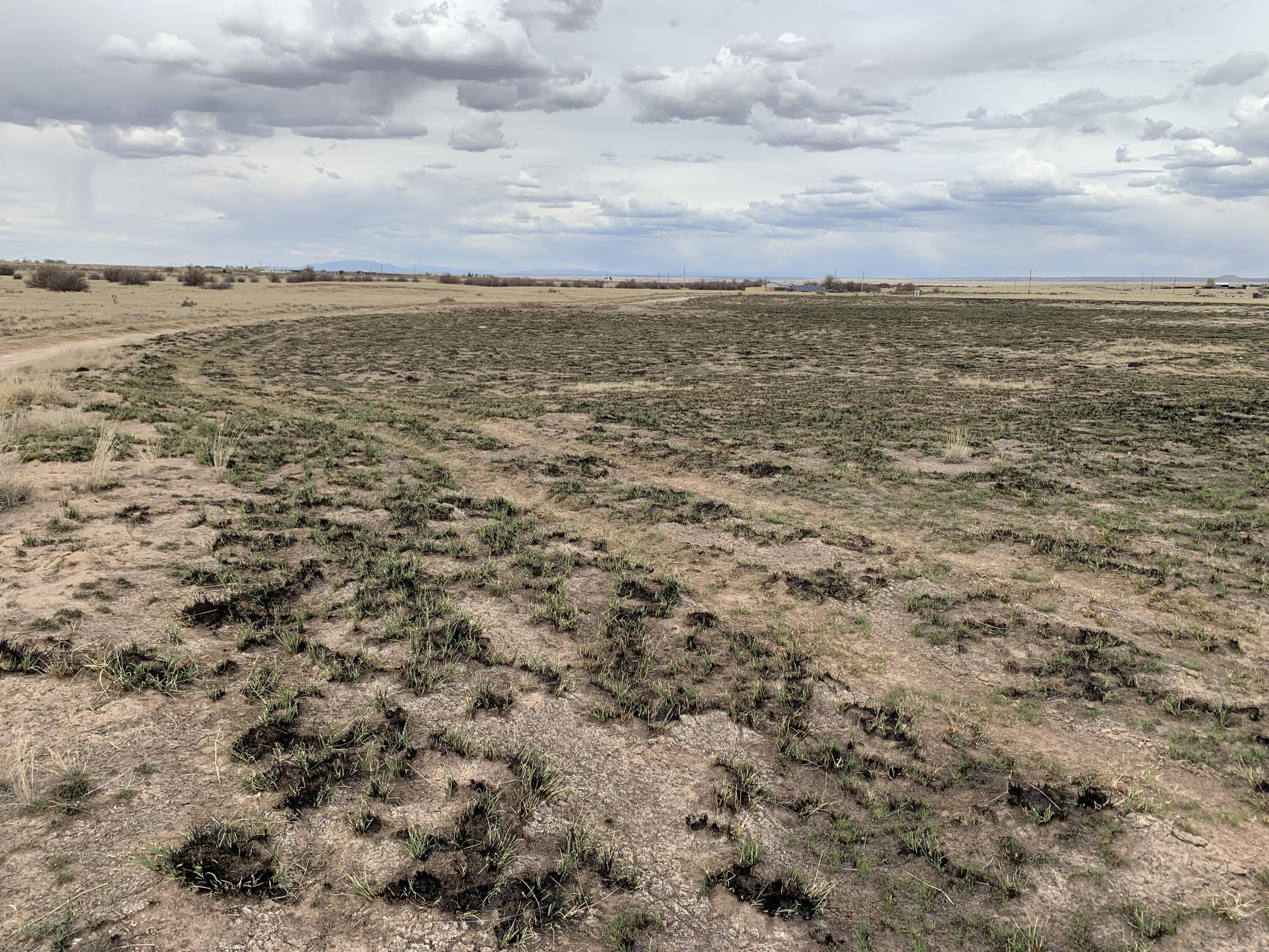 Land with I-40 Access