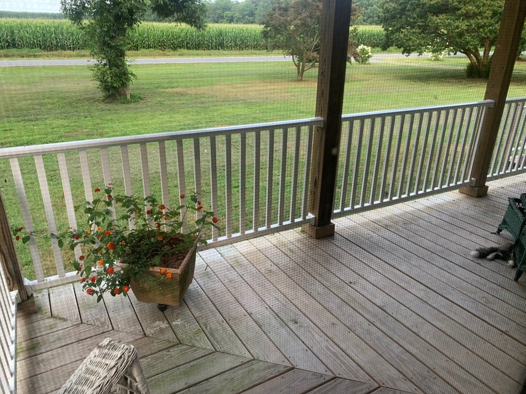 Picture 10