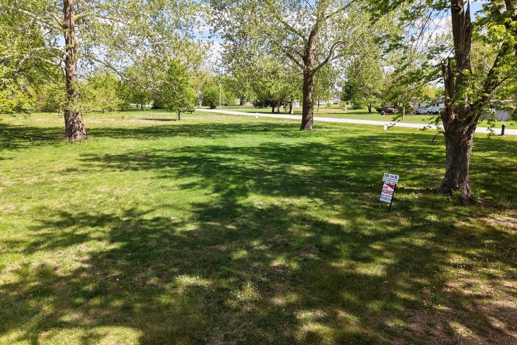 Picture 5