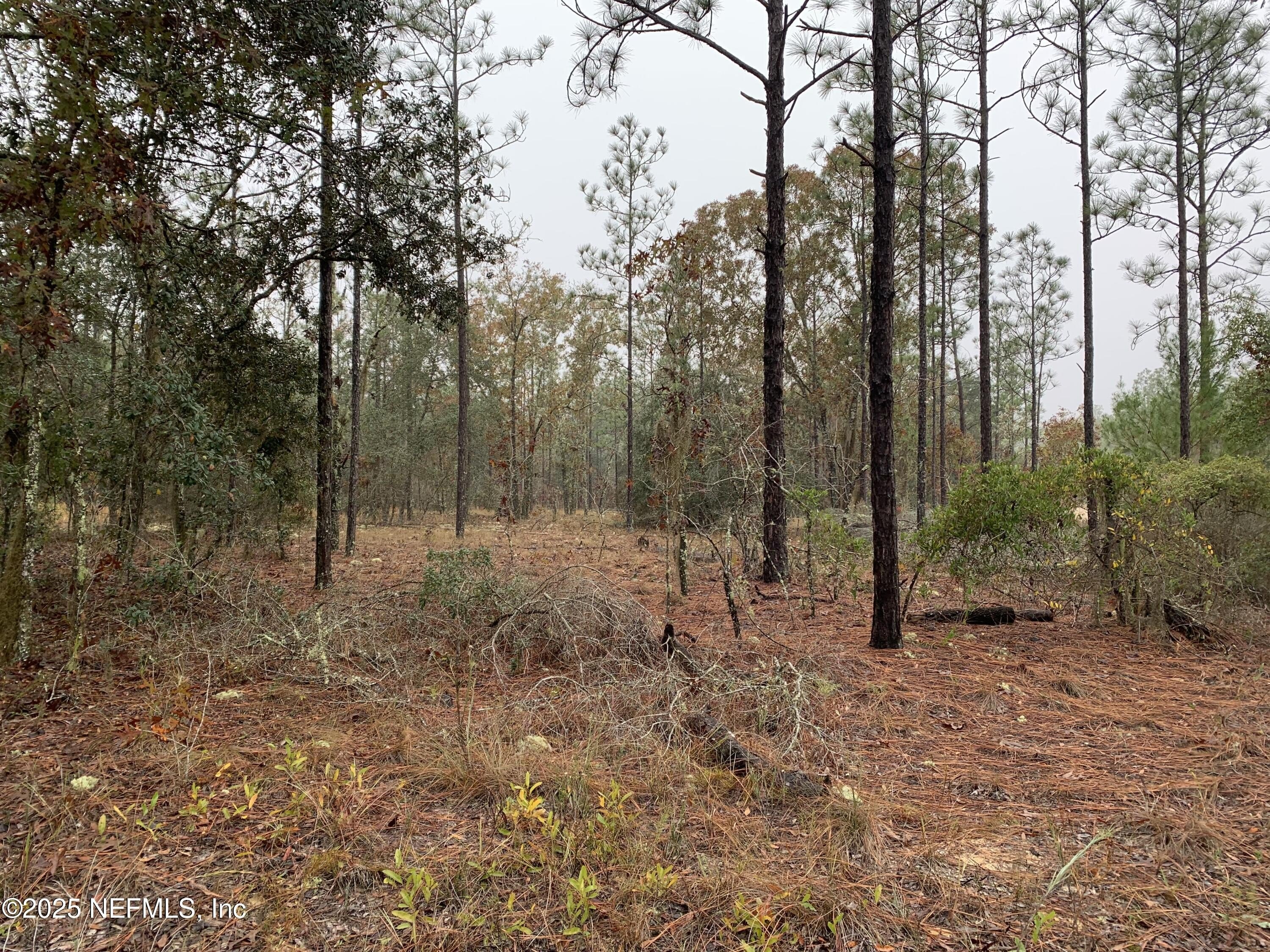 Lightly Wooded Corner Lot