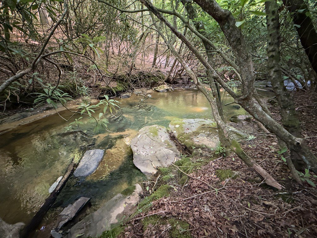 Picture 21