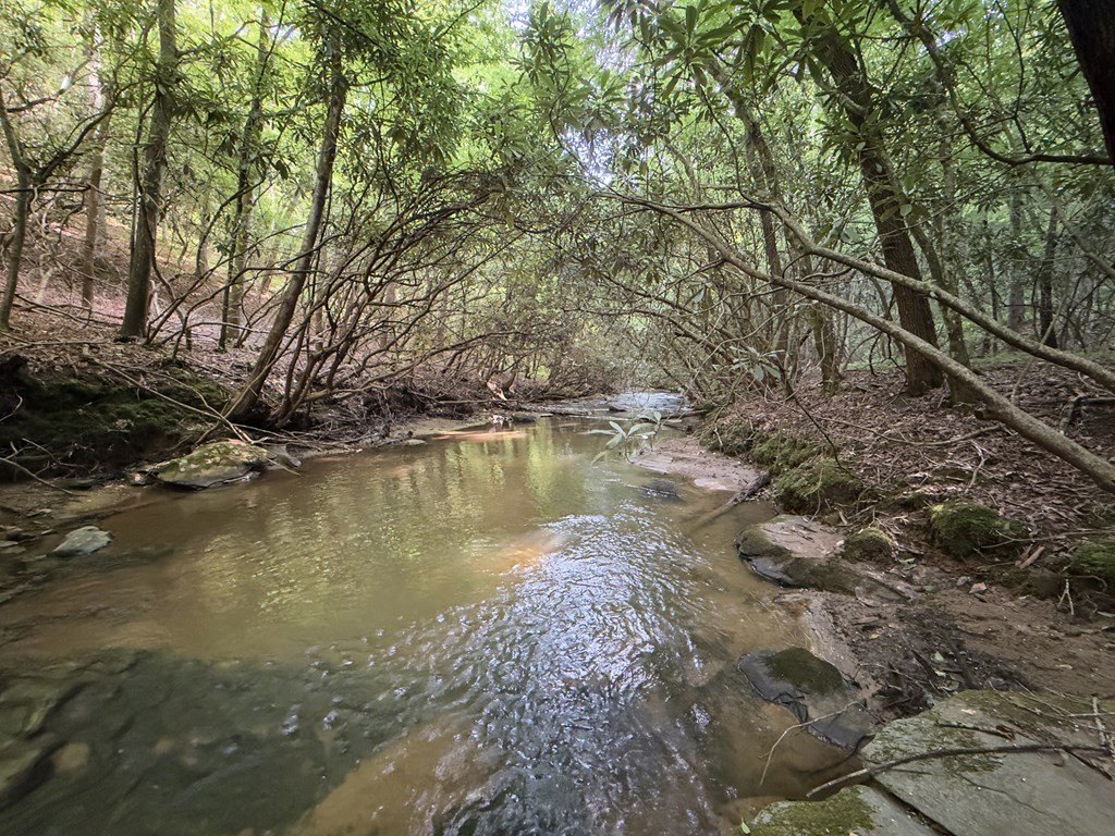 Picture 23