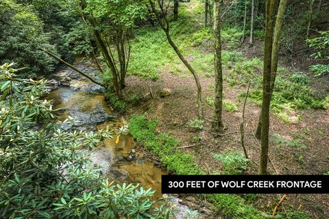 LAND - Mineral Bluff, GA