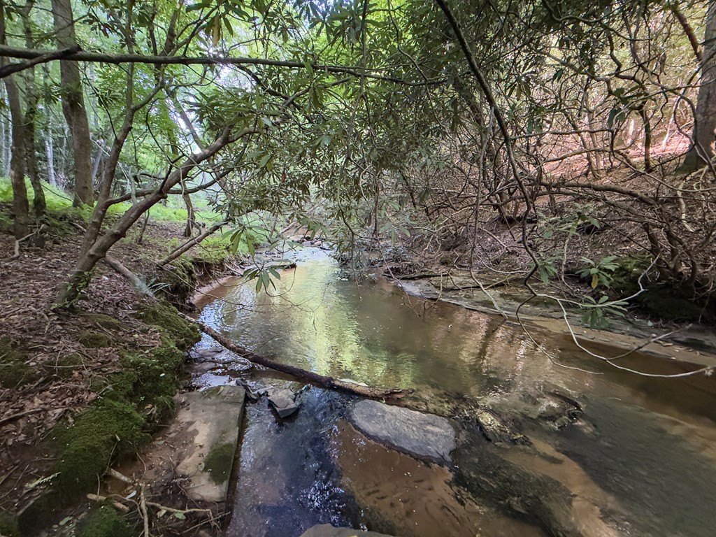Picture 22