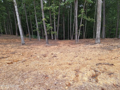 Tennessee National Wooded Lot