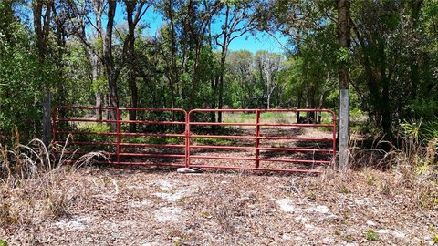 Spacious Ridge Manor Estates Lot