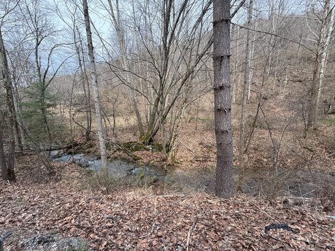 Vacant Land Near Campground