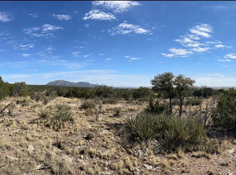 LAND - Edgewood, NM