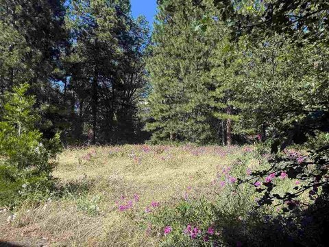 Land, Mount Shasta, CA
