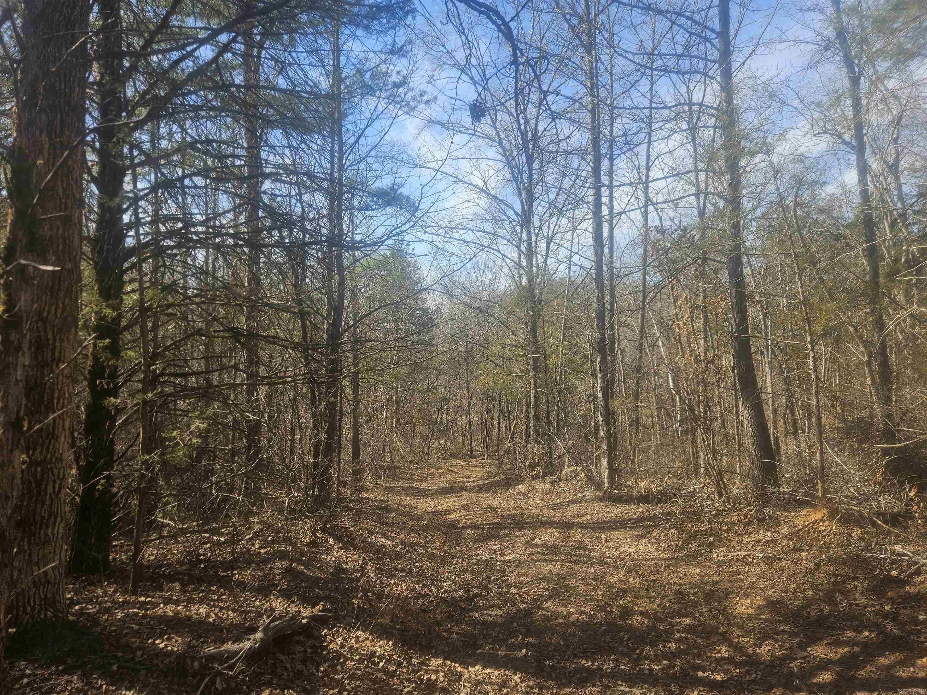 Secluded Ozark Acreage Near Big Flat