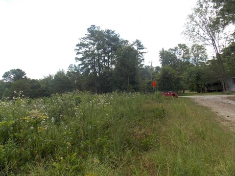 Land Near Lake and Ramp