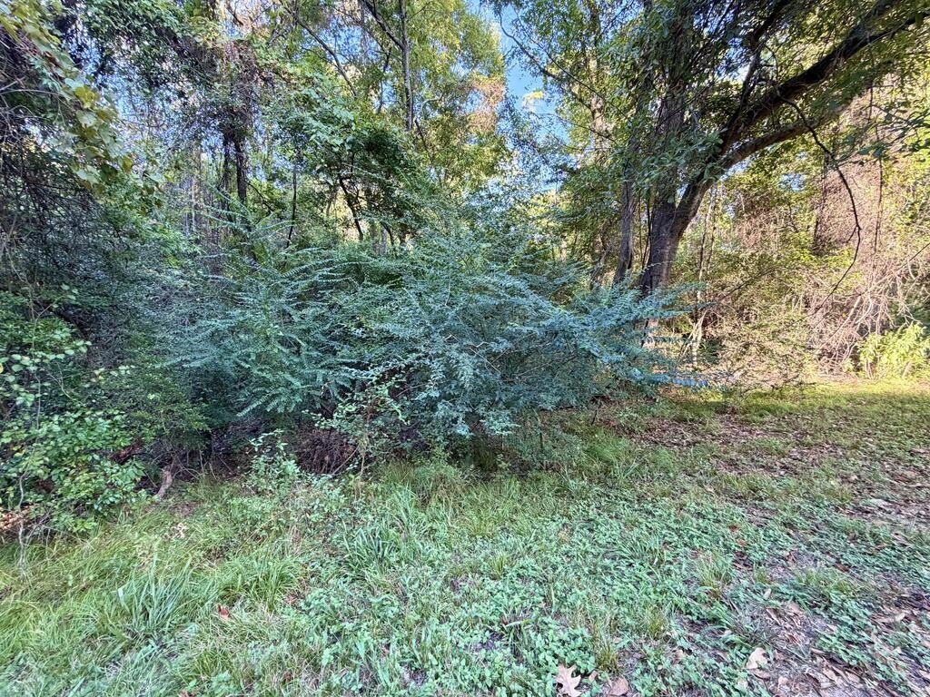 Picture 3