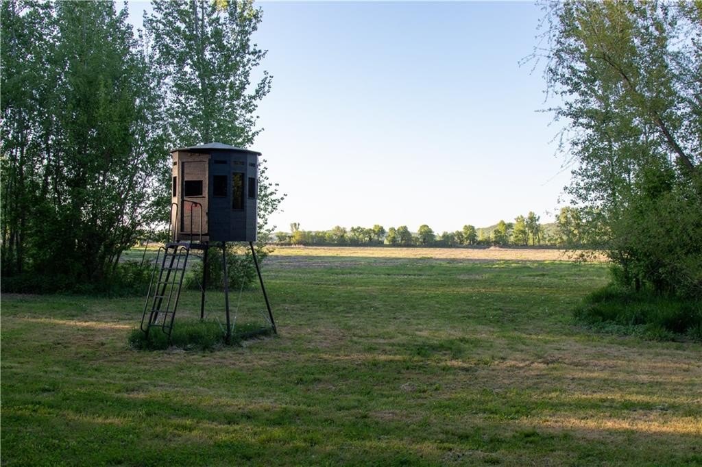 Picture 28