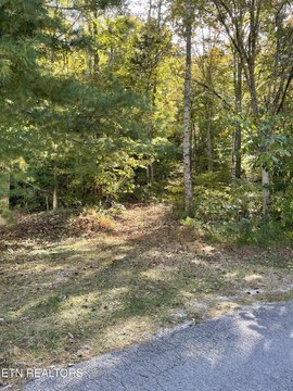 Lots & Acreage, Maynardville, TN