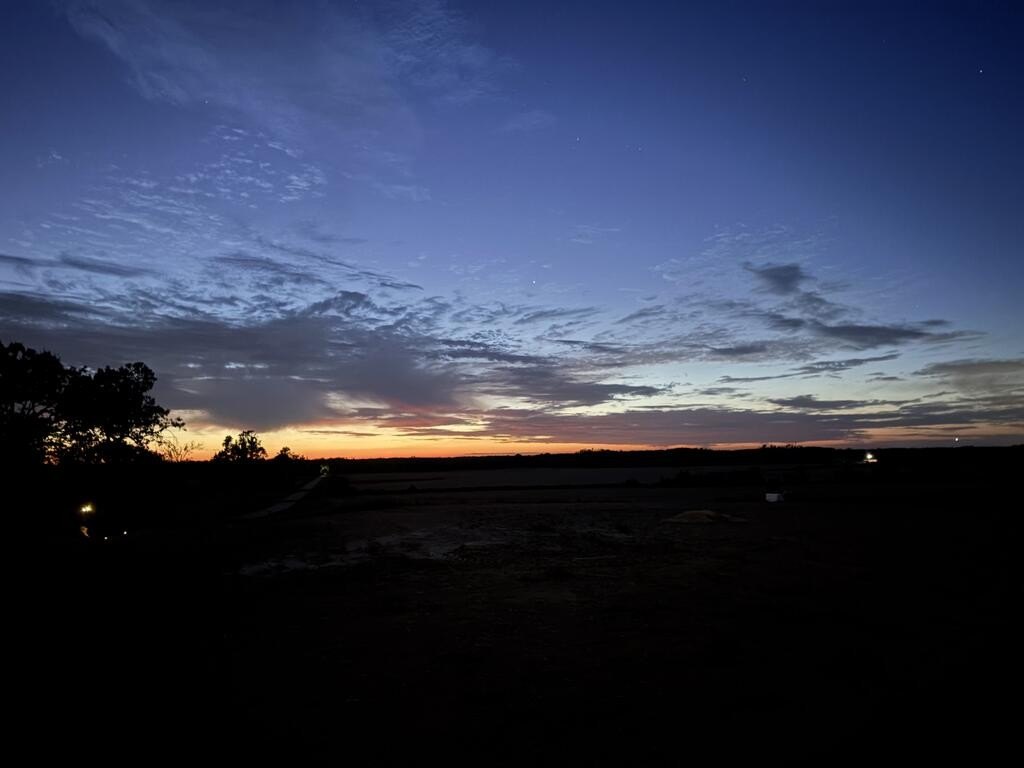 Picture 25