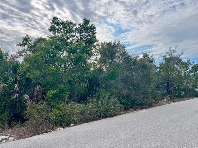 Residential Lot in Spring Hill