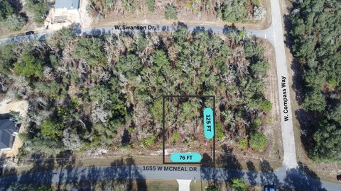 Land, CITRUS SPRINGS, FL
