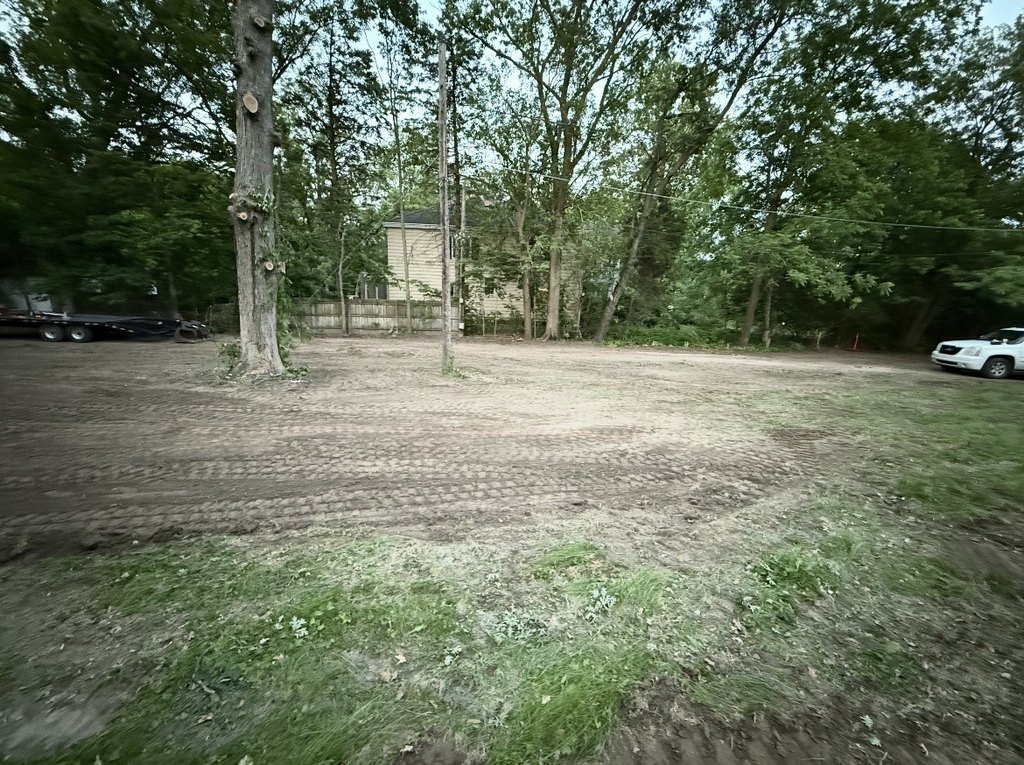 Picture 5