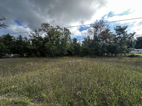 Vacant Land North of Baldwin