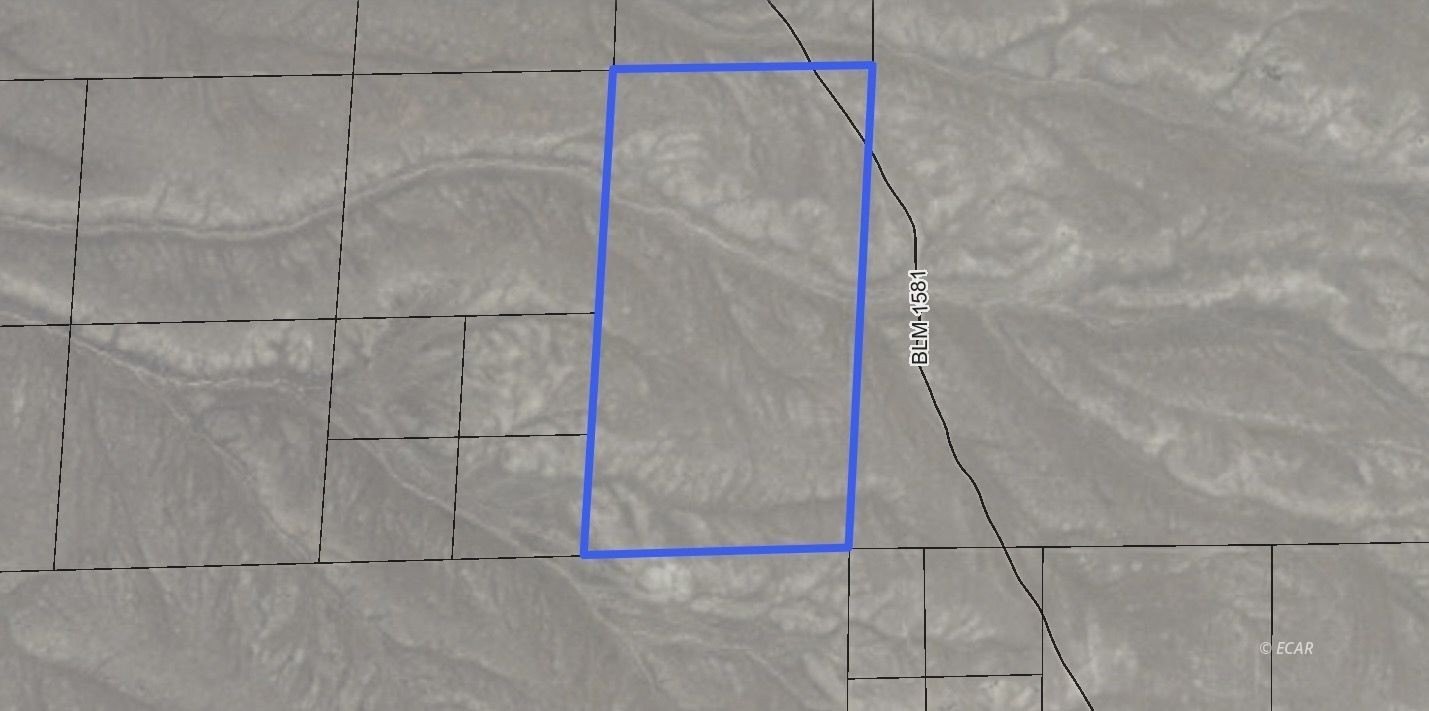 80 Acres in Montello, Nevada