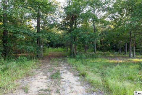 Wooded Residential Development Land