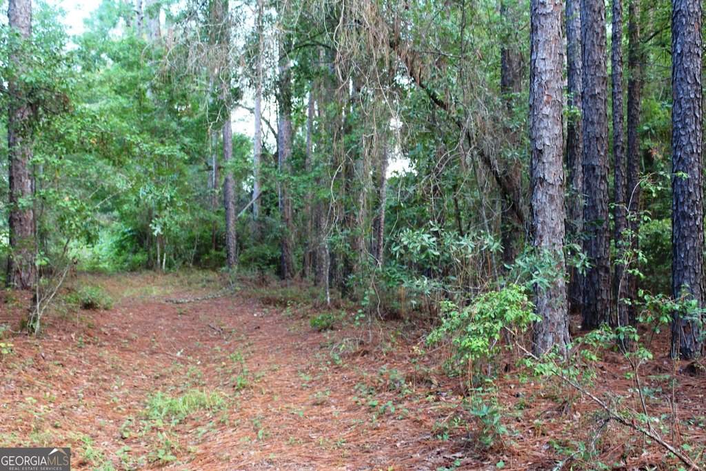 Picture 21