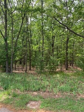 Wooded Acreage Near White Lake
