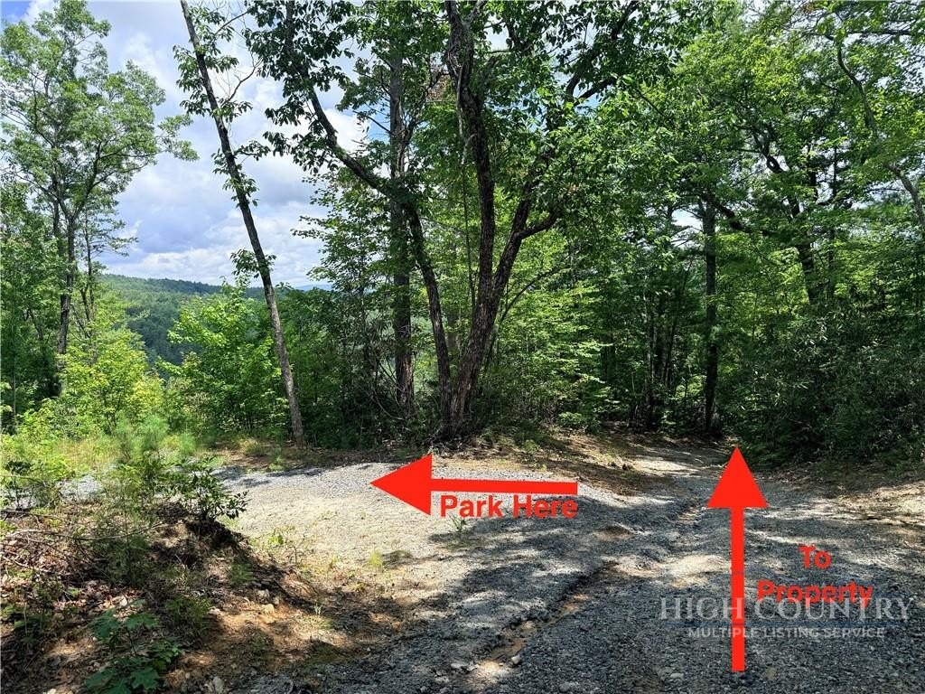 Picture 26