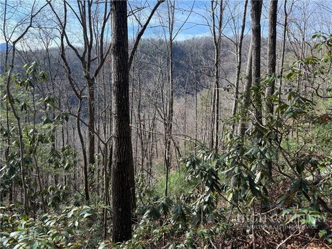 Land, Lenoir, NC