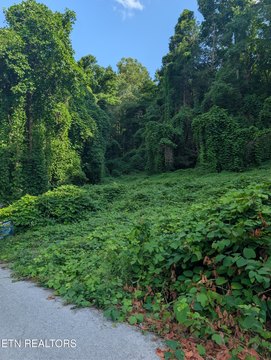 LAND - Middlesboro, KY