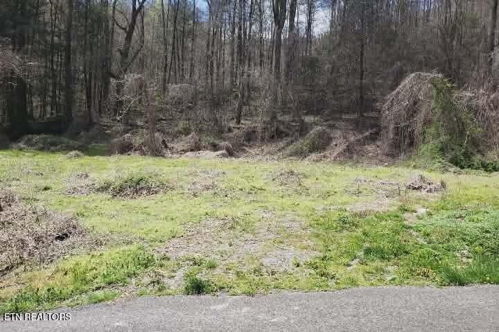 Picture 3