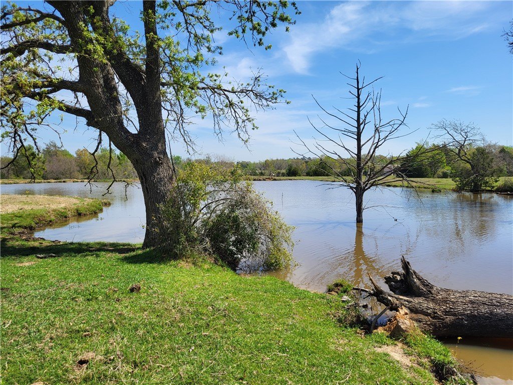 Picture 15