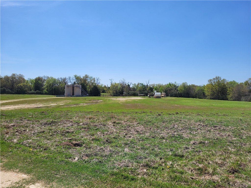 Picture 19