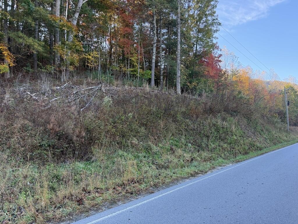 Picture 21