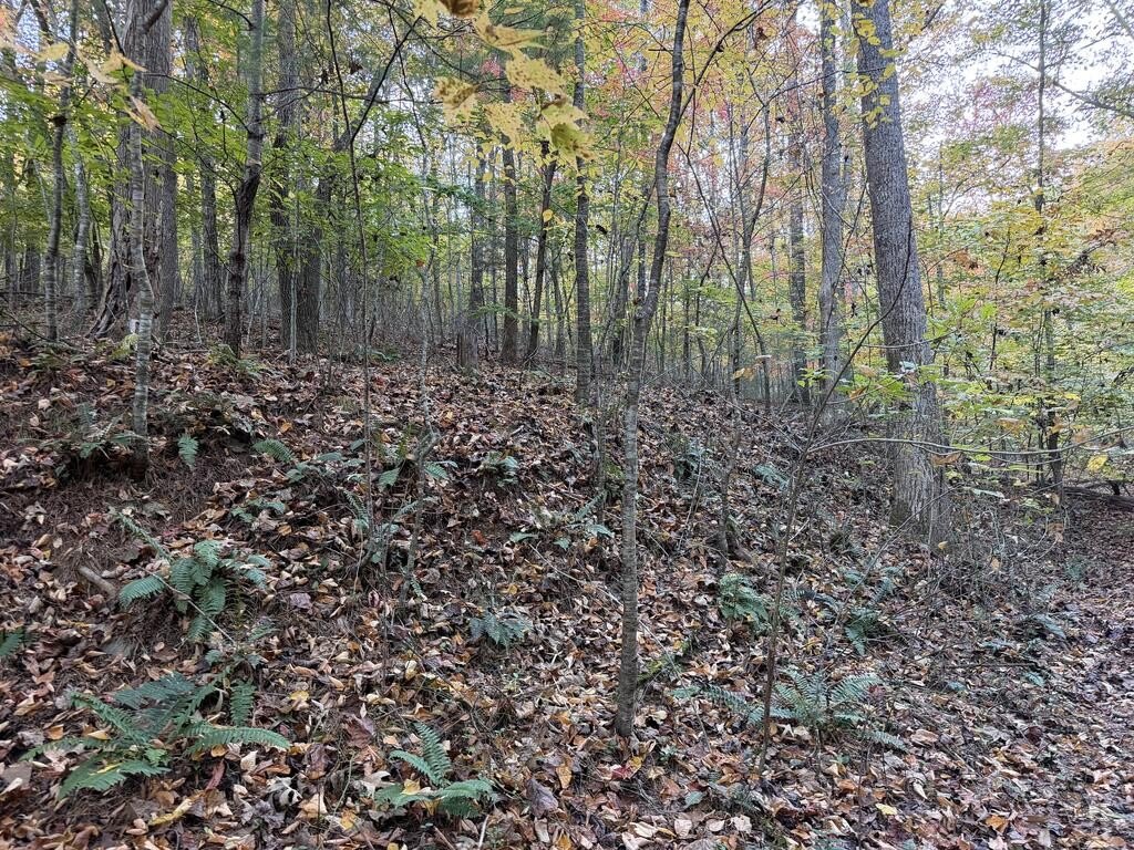 Picture 17