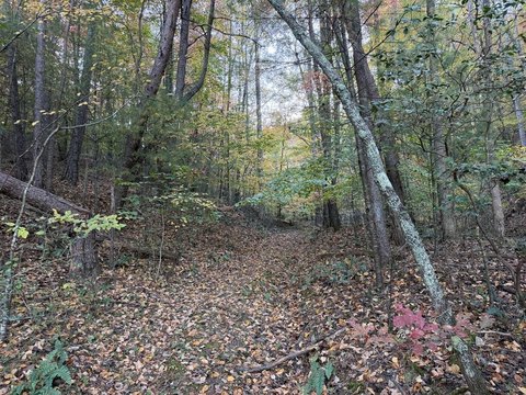 Vacant Lot, Hayesville, NC