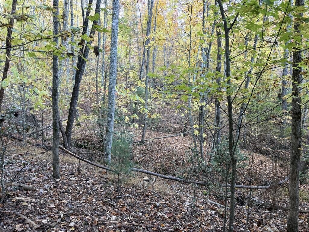 Picture 18