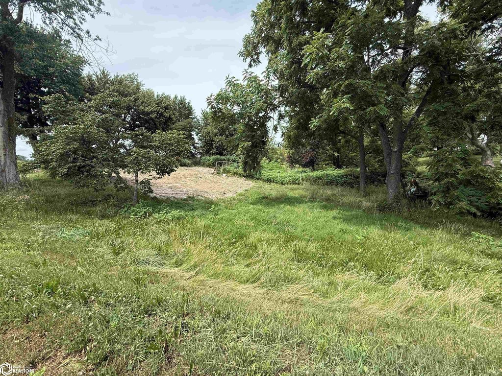 Picture 8