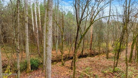 Unrestricted Land in Loudon, TN