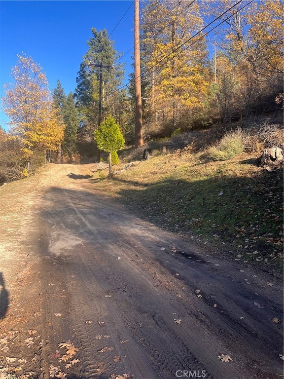 Picture 5