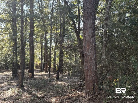Land, Bay Minette, AL